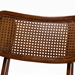 Baxton Studio Tafari Mid-Century Modern Walnut Brown Finished Wood and Rattan 2-Piece Dining Chair Set - BSORH254C-Walnut Rattan/Walnut Bent Seat-DC-2PK