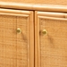 bali & pari Serissa Modern Bohemian Natural Brown Rattan 2-Door Storage Cabinet - BSOTibem-Rattan-Cabinet